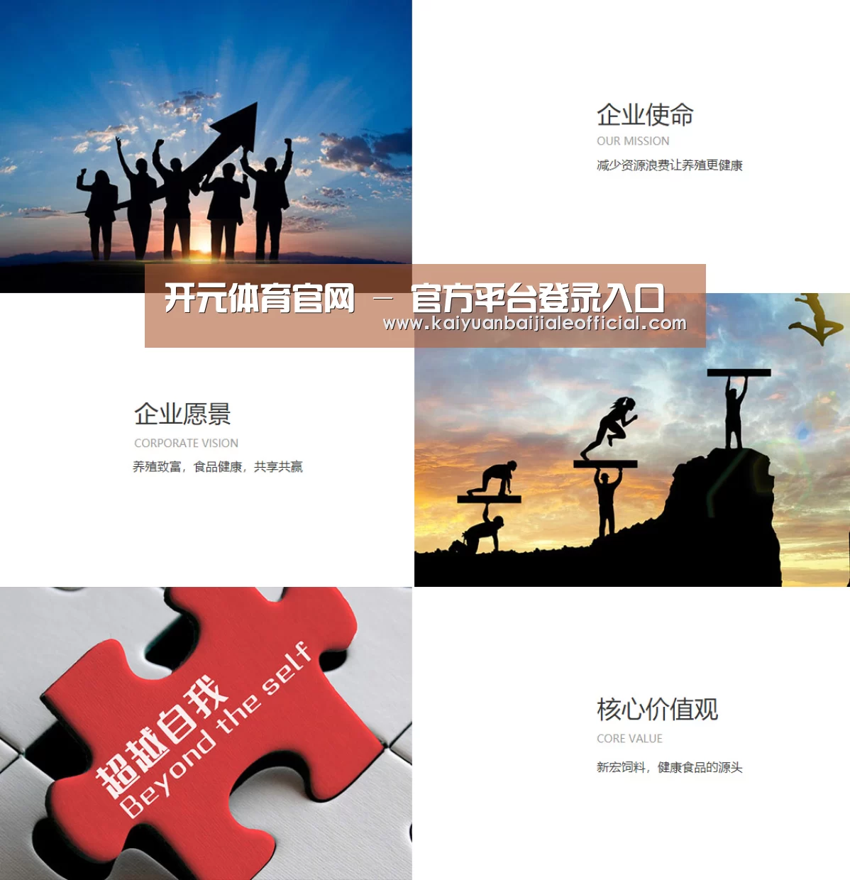 企业文化(图1)