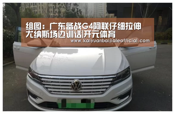 开元百家乐