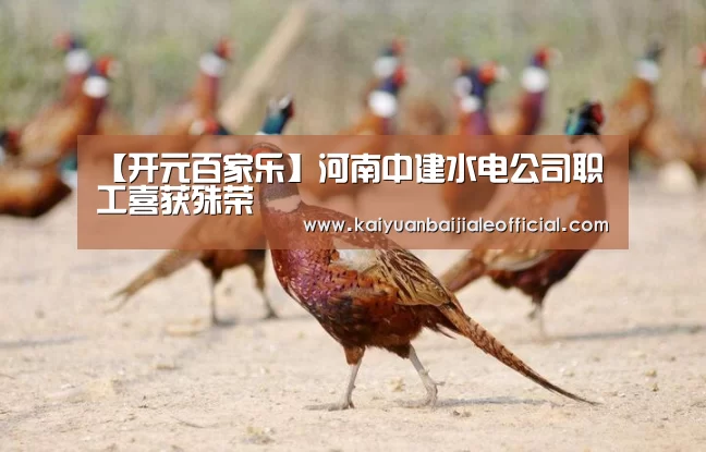 【开元百家乐】河南中建水电公司职工喜获殊荣(图1) 开元体育