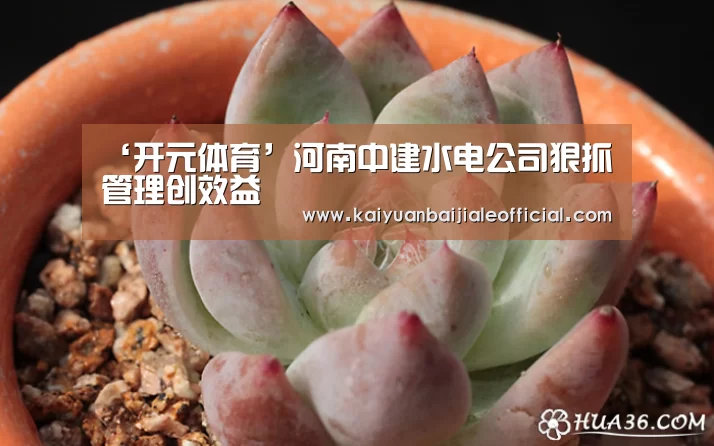 开元百家乐